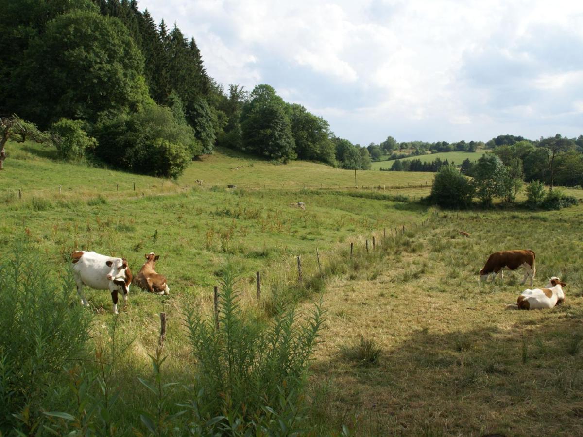 Spacious Holiday Home Near The Forest Esmoulieres Rom bilde